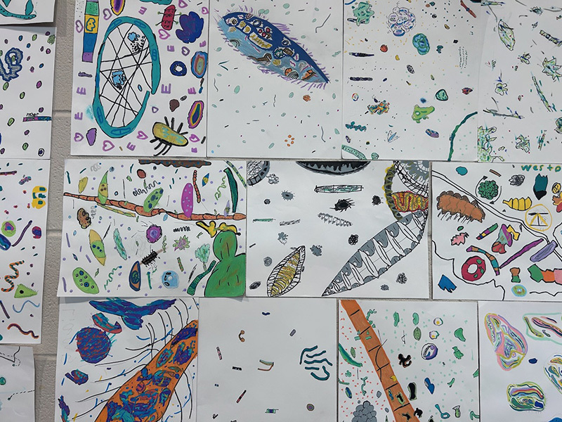 Everyone Knows Diatoms