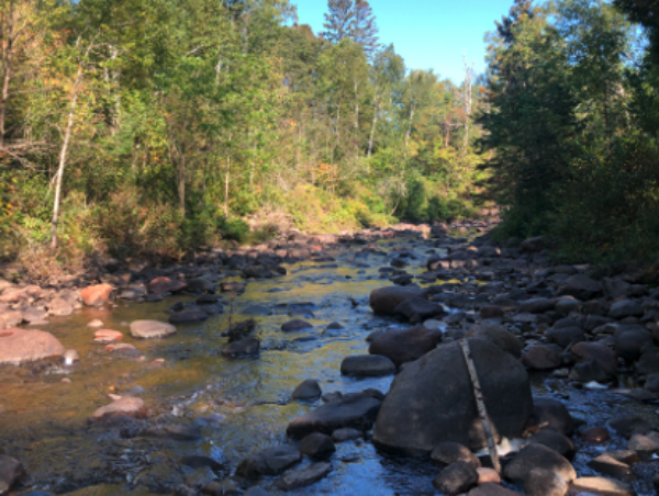 North Shore MN Didymo river