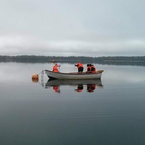 Uppsala limnology