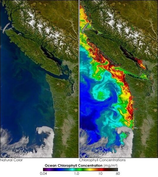 Washington SEA 2004275