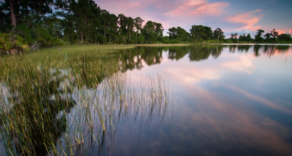 20090822 lake annie horiz rbowman2