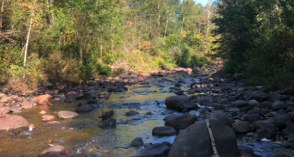 North Shore MN Didymo river
