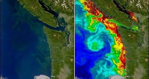 Washington SEA 2004275