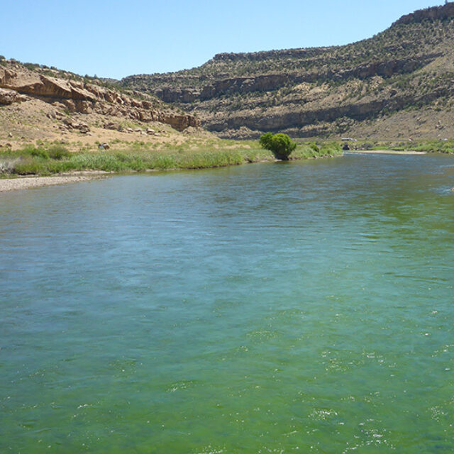 Colorado River Cameo