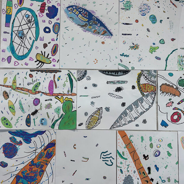 Everyone Knows Diatoms