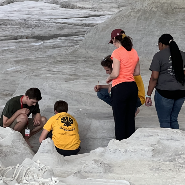 Fig 4 Lakeside students sampling at Ashfall