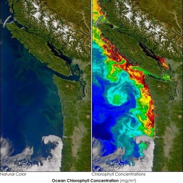 Washington SEA 2004275