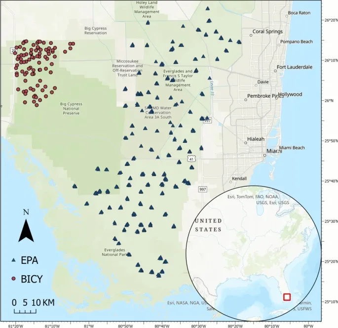 10933 2025 354 Fig1 HTML