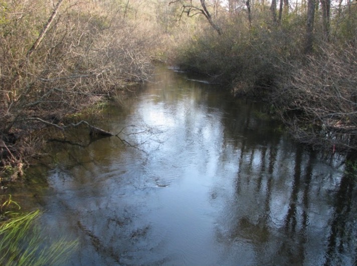 Gomphonema marriae habitat 2