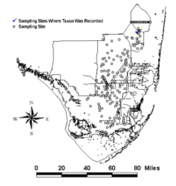 2002 Map of Everglades sampling sites