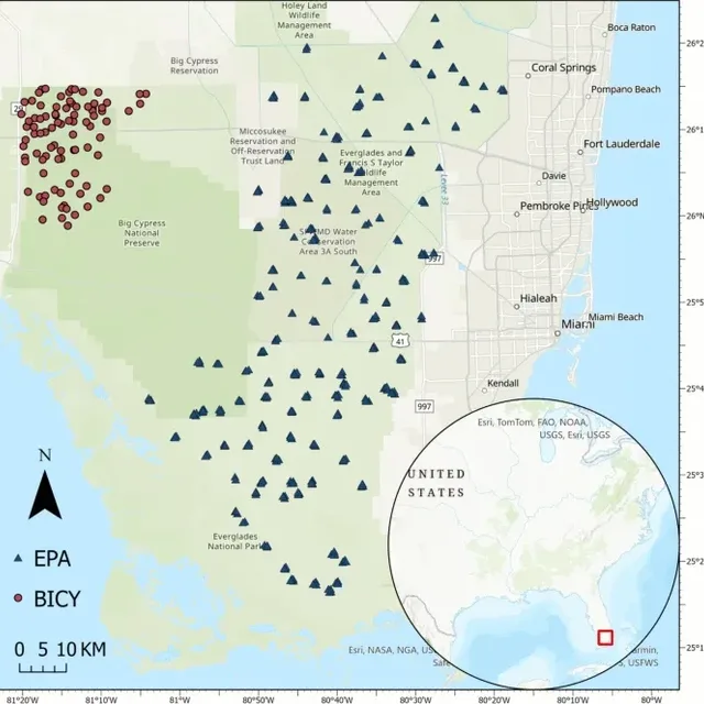 10933 2025 354 Fig1 HTML