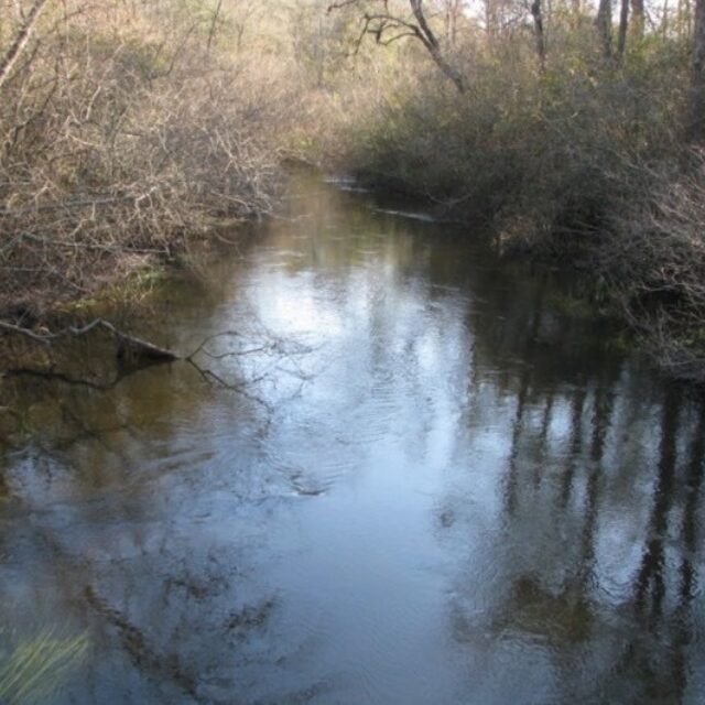 Gomphonema marriae habitat 2