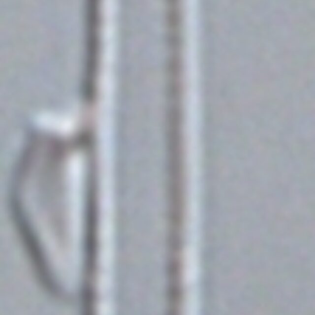 Fragilaria aquaplus LM1