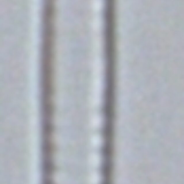 Fragilaria aquaplus LM2 138 2014 f