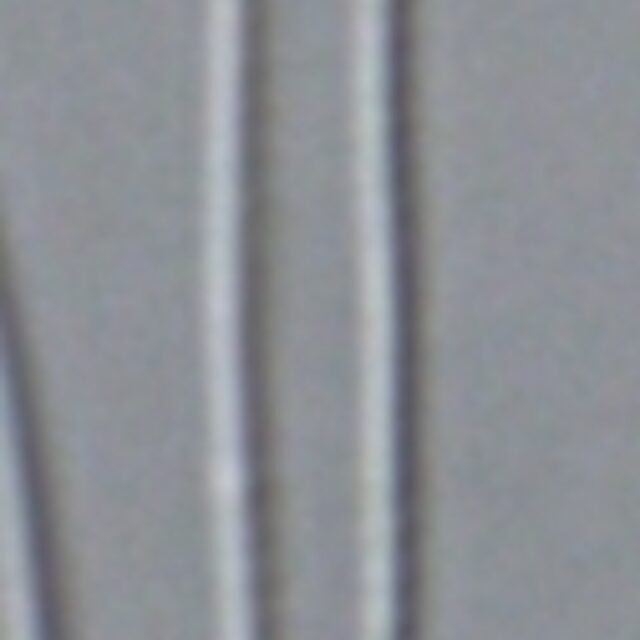 Fragilaria aquaplus LM2