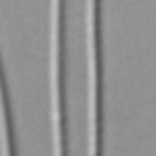 Fragilaria aquaplus LM2_2