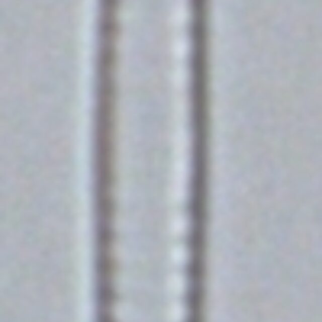 Fragilaria aquaplus LM3