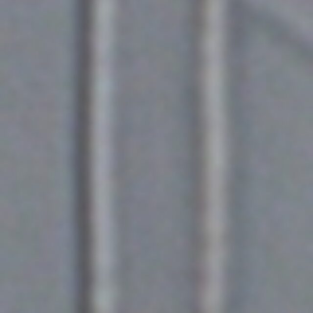 Fragilaria aquaplus LM4 138 2014 e