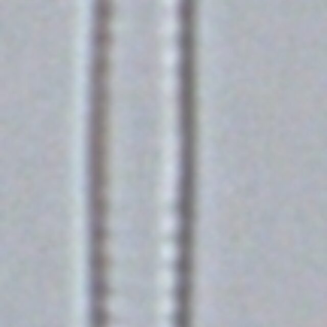 Fragilaria aquaplus LM4