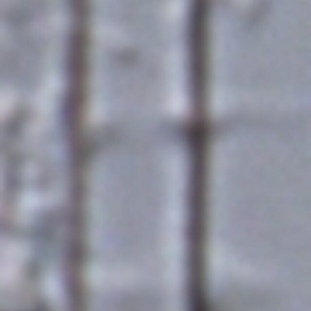 Fragilaria aquaplus LM5 138 2014 d