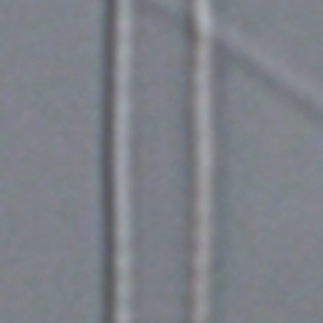 Fragilaria aquaplus LM5