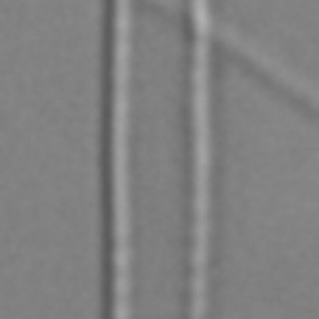 Fragilaria aquaplus LM5_2