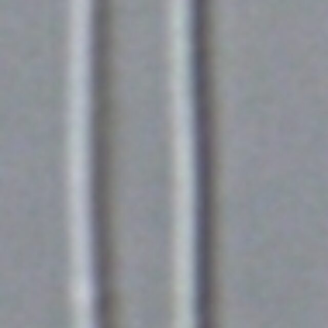 Fragilaria aquaplus LM6 042 2006 f