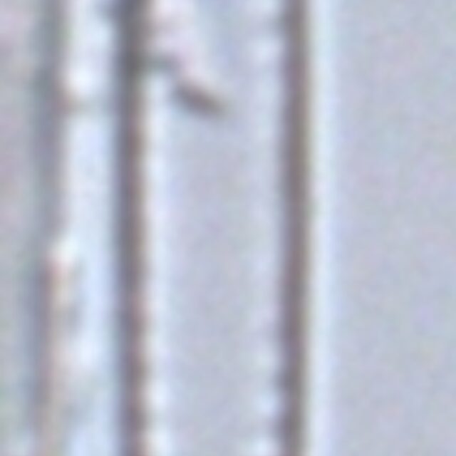 Fragilaria aquaplus LM6