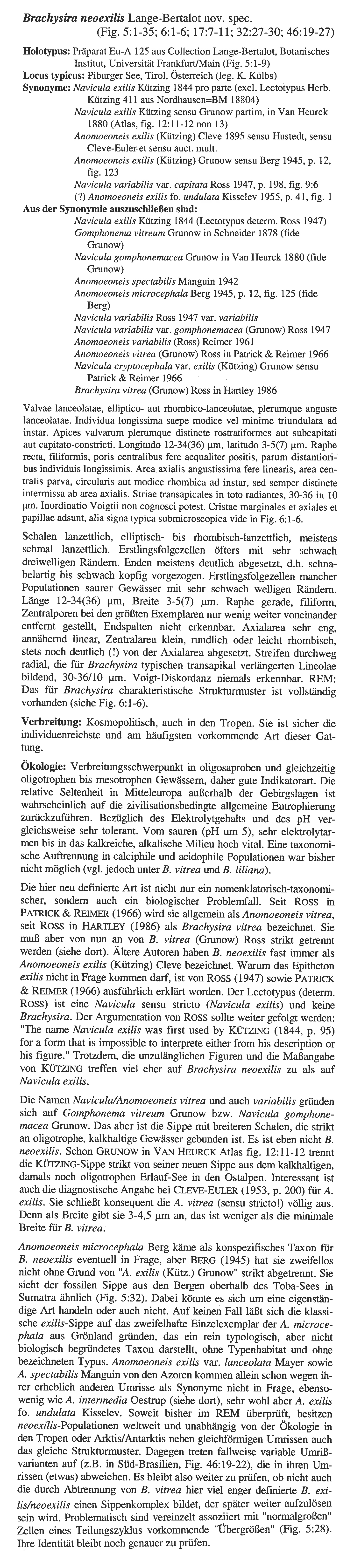 Brachysira neoexilis original description