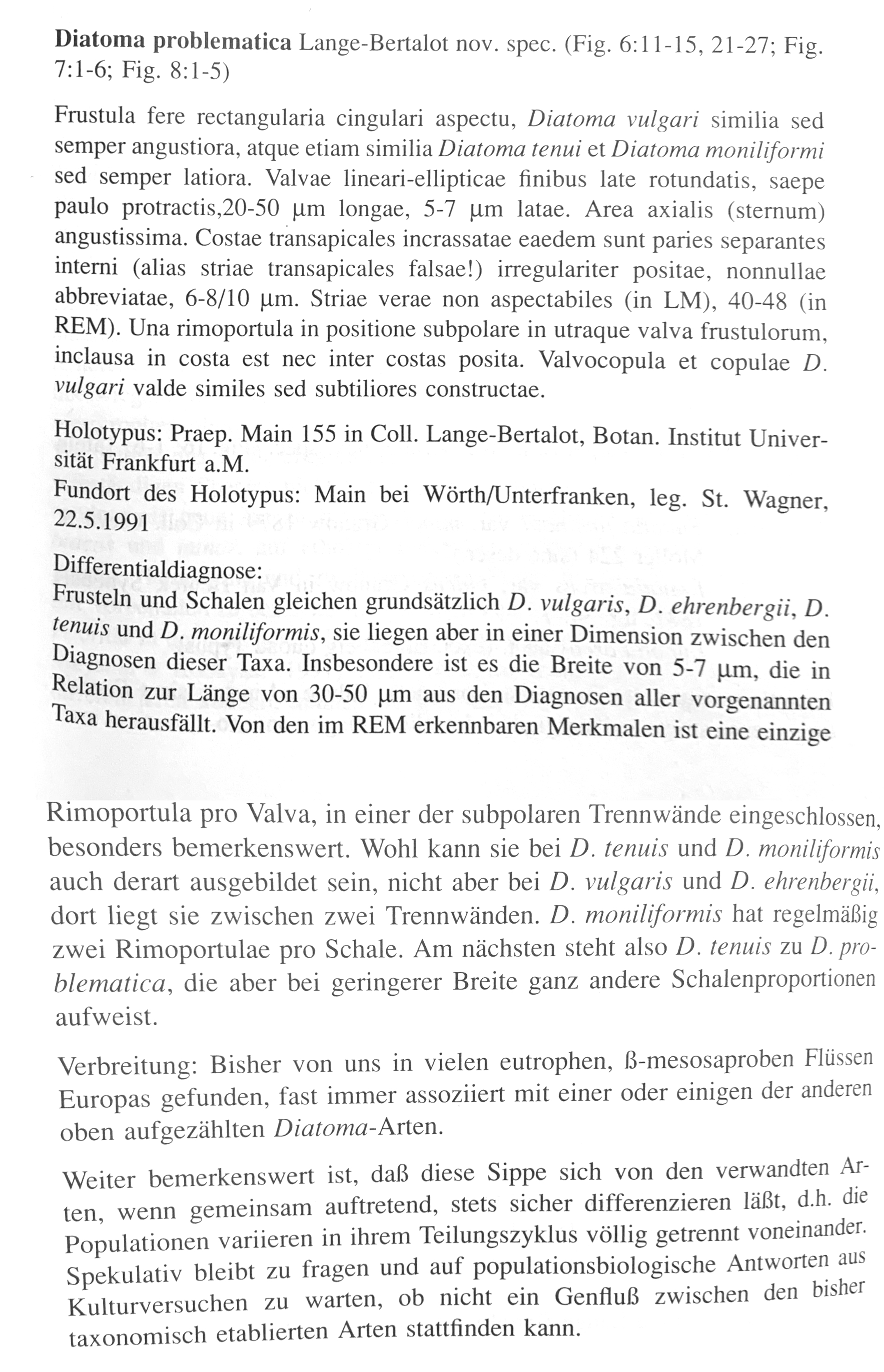 Diatoma problematica orig desc