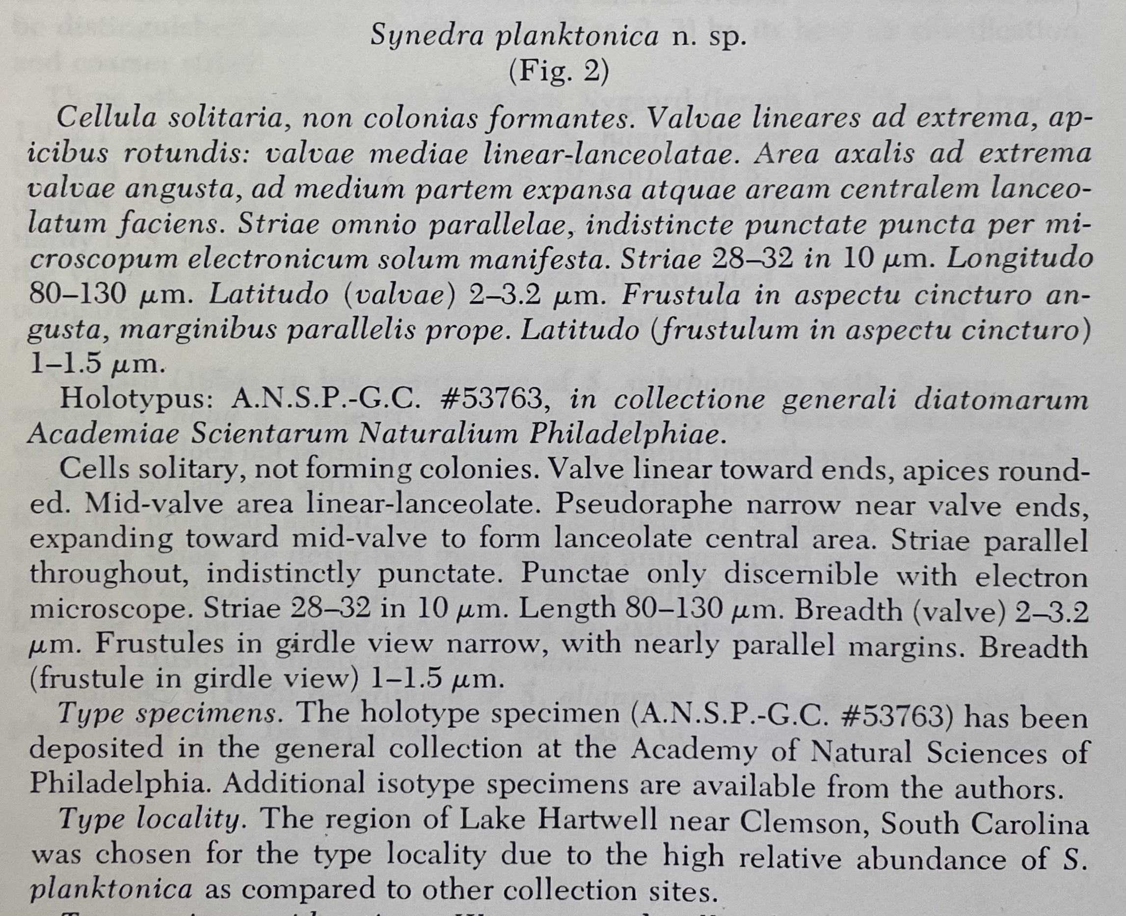 Fragilaria longifusiformis orig desc