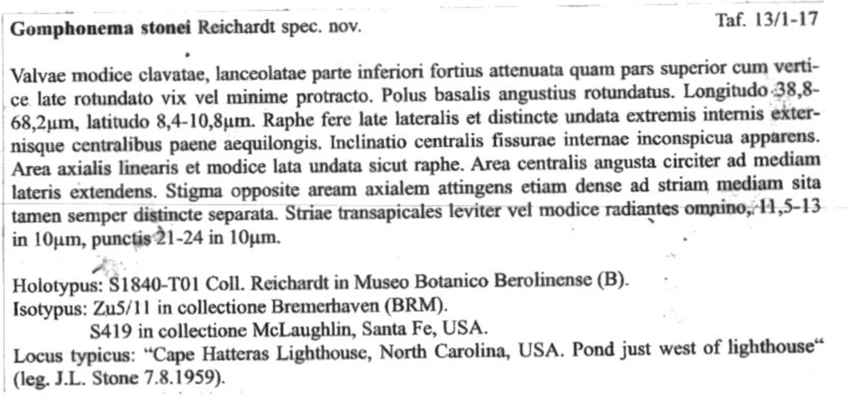 G stonei orig desc