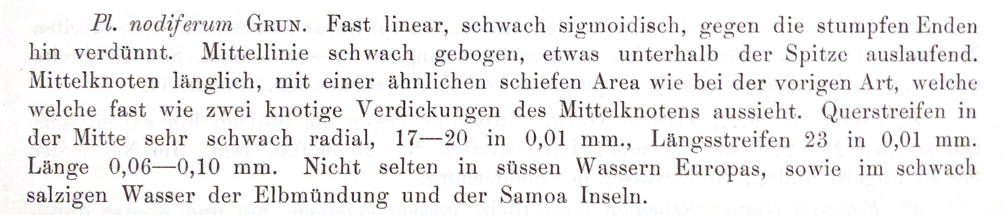 Gyrosigma Nodiferum Orig Descr