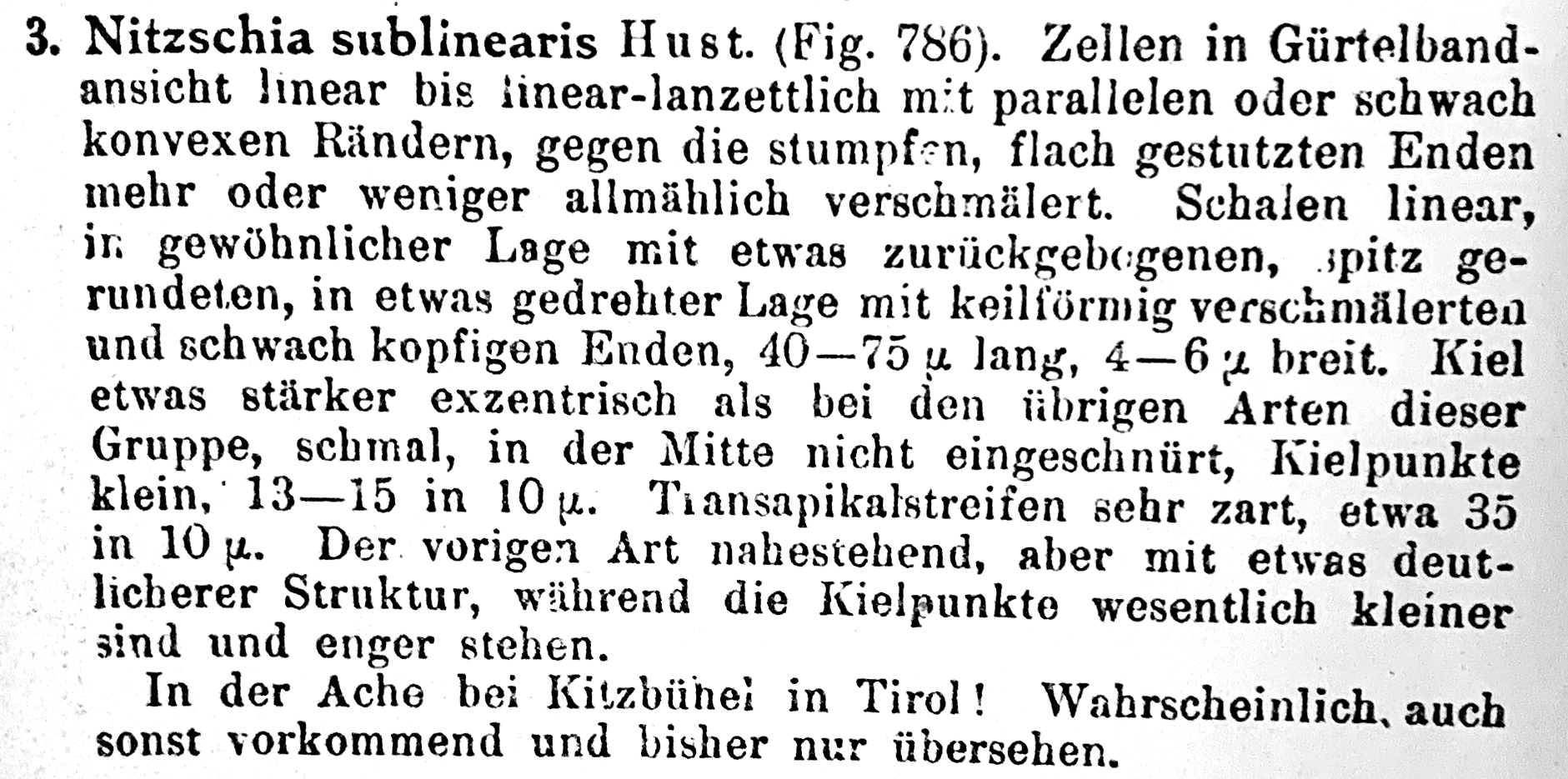 Nitzschia sublinearis orig desc