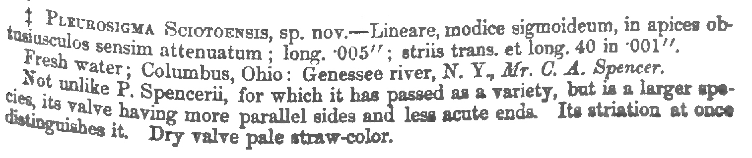 Orig Descr Gyrosigma Sciotoense