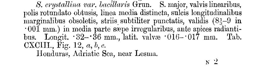 Original description grunow 1877