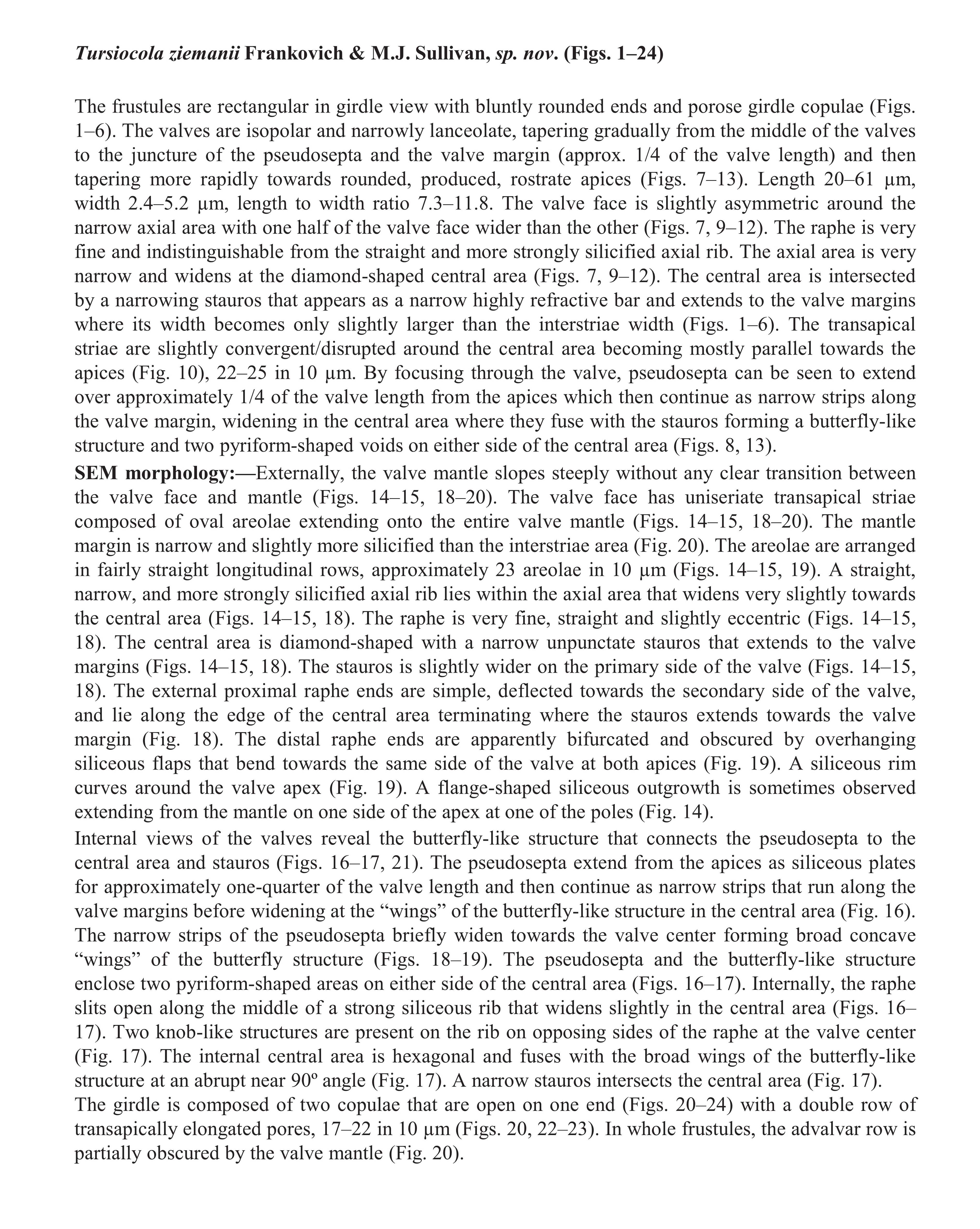 Tursiocola ziemanii orig desc