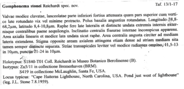 G stonei orig desc