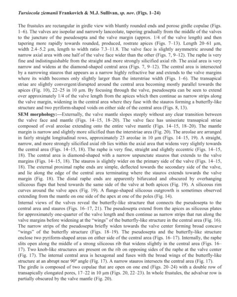 Tursiocola ziemanii orig desc