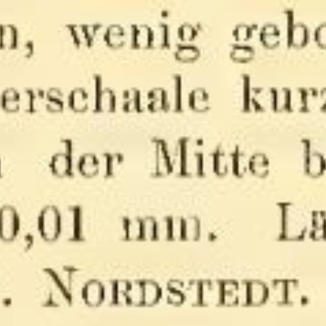 Psammothidium marginulatum original description