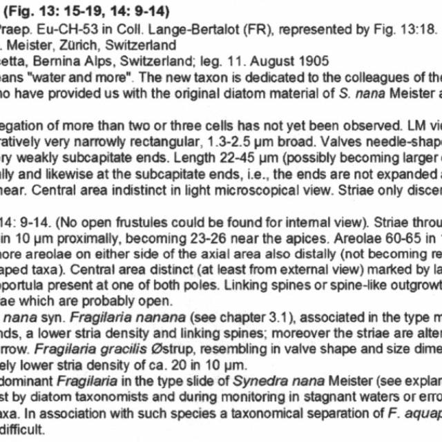 Fragilaria aquaplus orig desc