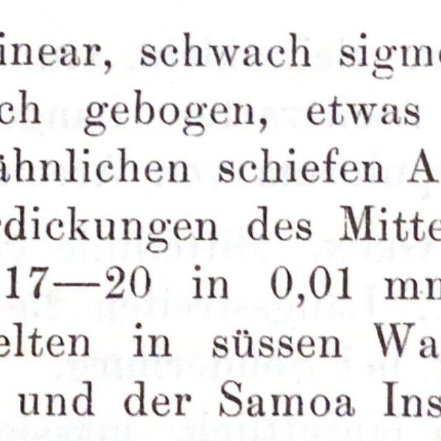 Gyrosigma Nodiferum Orig Descr