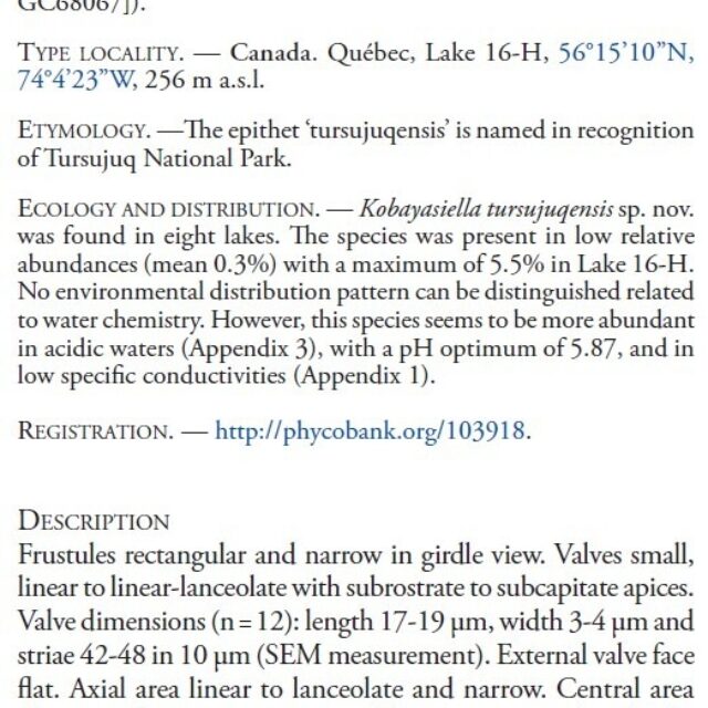 Kobayasiella tursujuqensis orig desc