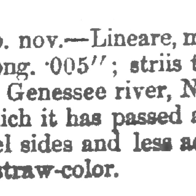 Orig Descr Gyrosigma Sciotoense