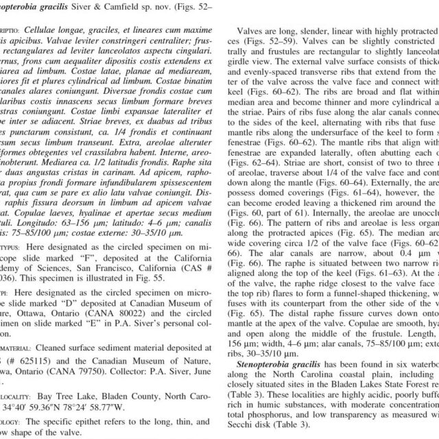 Siver and Camfield 2007 S gracilis