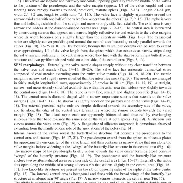 Tursiocola ziemanii orig desc