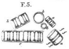 Aulacoseira distans orig illus