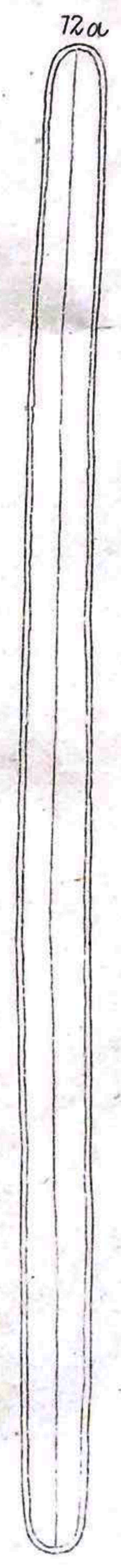 Grunow1877 line 1