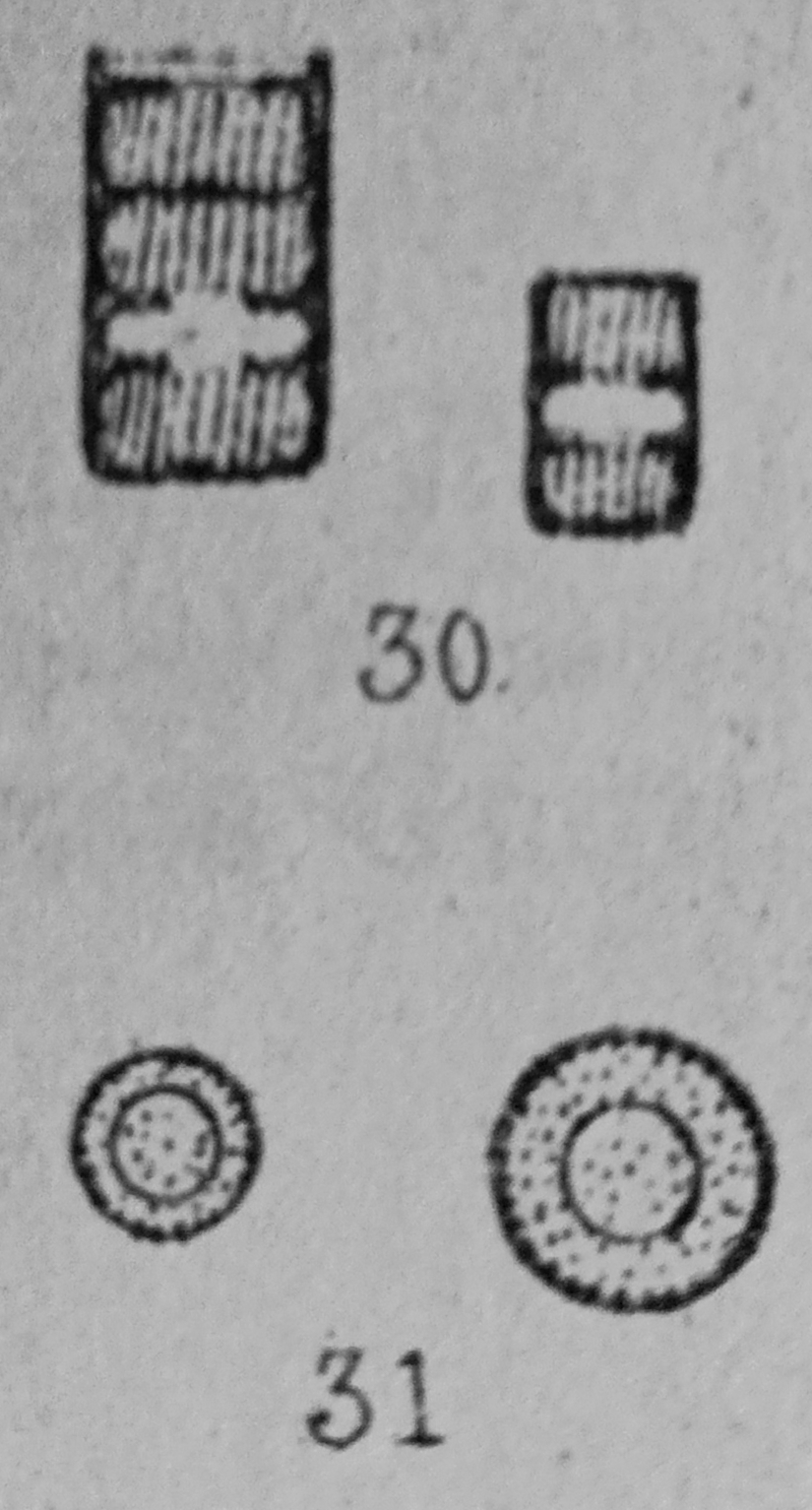 Original depiction