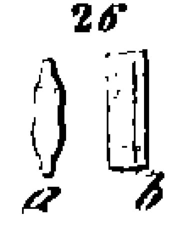 S Construens Binodis  Iconotype